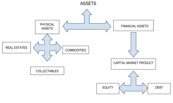 what is an asset