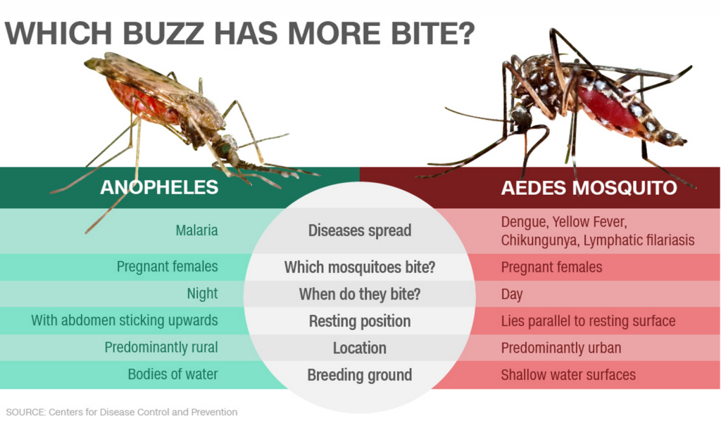 Difference between Aedes & Anopheles mosquito source - CDC took from Twitter